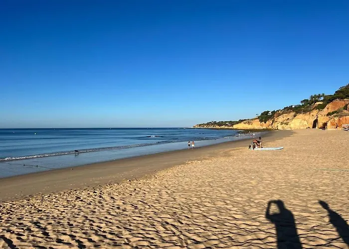 Maria Luisa -amaral's * 알부페이라