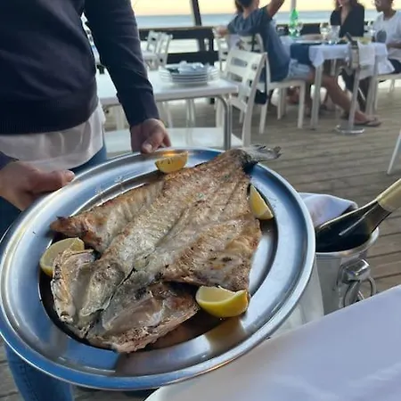 Amaral's - Algarve Albufeira