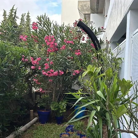 Maria Luisa -amaral's Appartement Albufeira