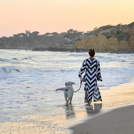 Maria Luisa -amaral's Appartamento