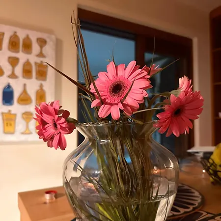 Apartmán Maria Luisa -amaral's *