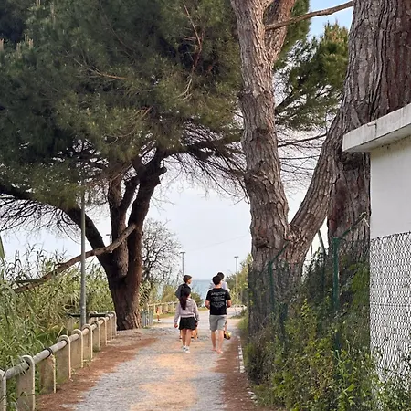 Maria Luisa -amaral's * Albufeira