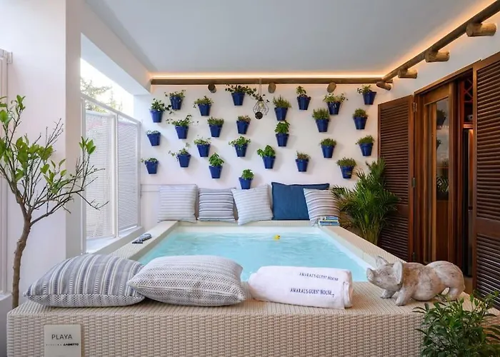 Maria Luisa -amaral's アパート *