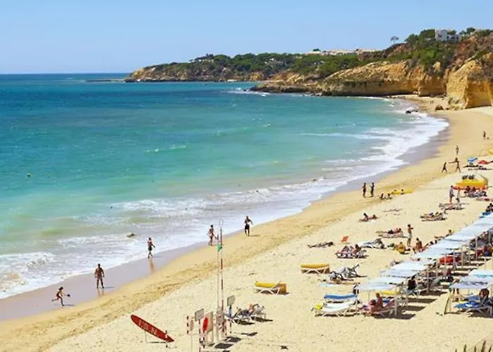 Maria Luisa -amaral's 公寓 *