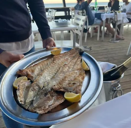 Maria Luisa -amaral's アルブフェイラ