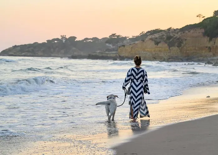 アパート Maria Luisa -amaral's *