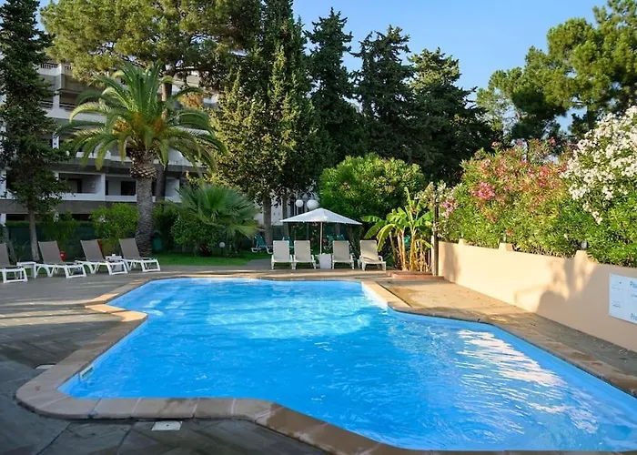 Maria Luisa -amaral's *