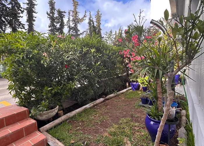 Maria Luisa -amaral's *