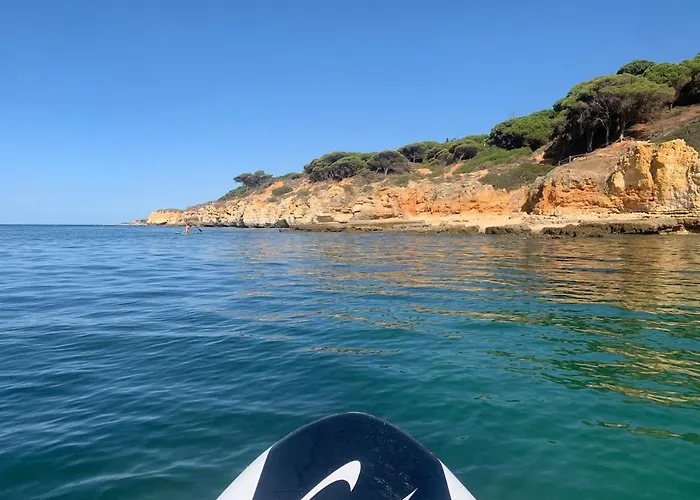 Maria Luisa -amaral's アパート *