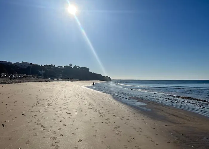 Maria Luisa -amaral's * アルブフェイラ