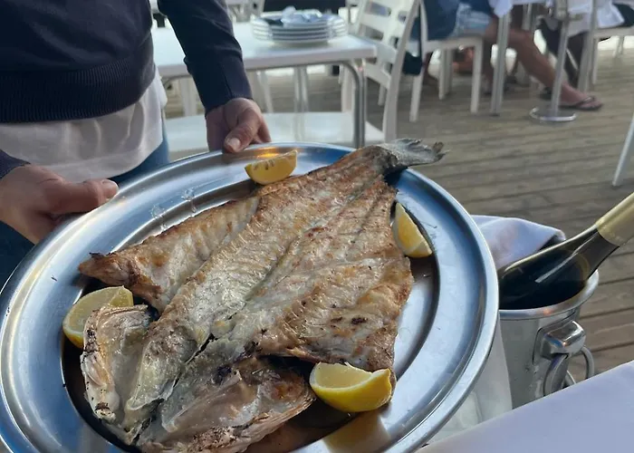 Maria Luisa -amaral's アパート