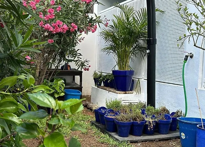 アパート Maria Luisa -amaral's アルブフェイラ