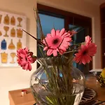 아파트 Maria Luisa -amaral's *